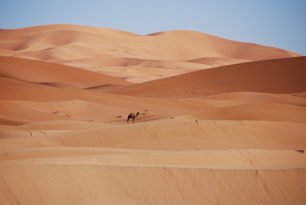 Discovering the Lost Cities of the Sahara Desert